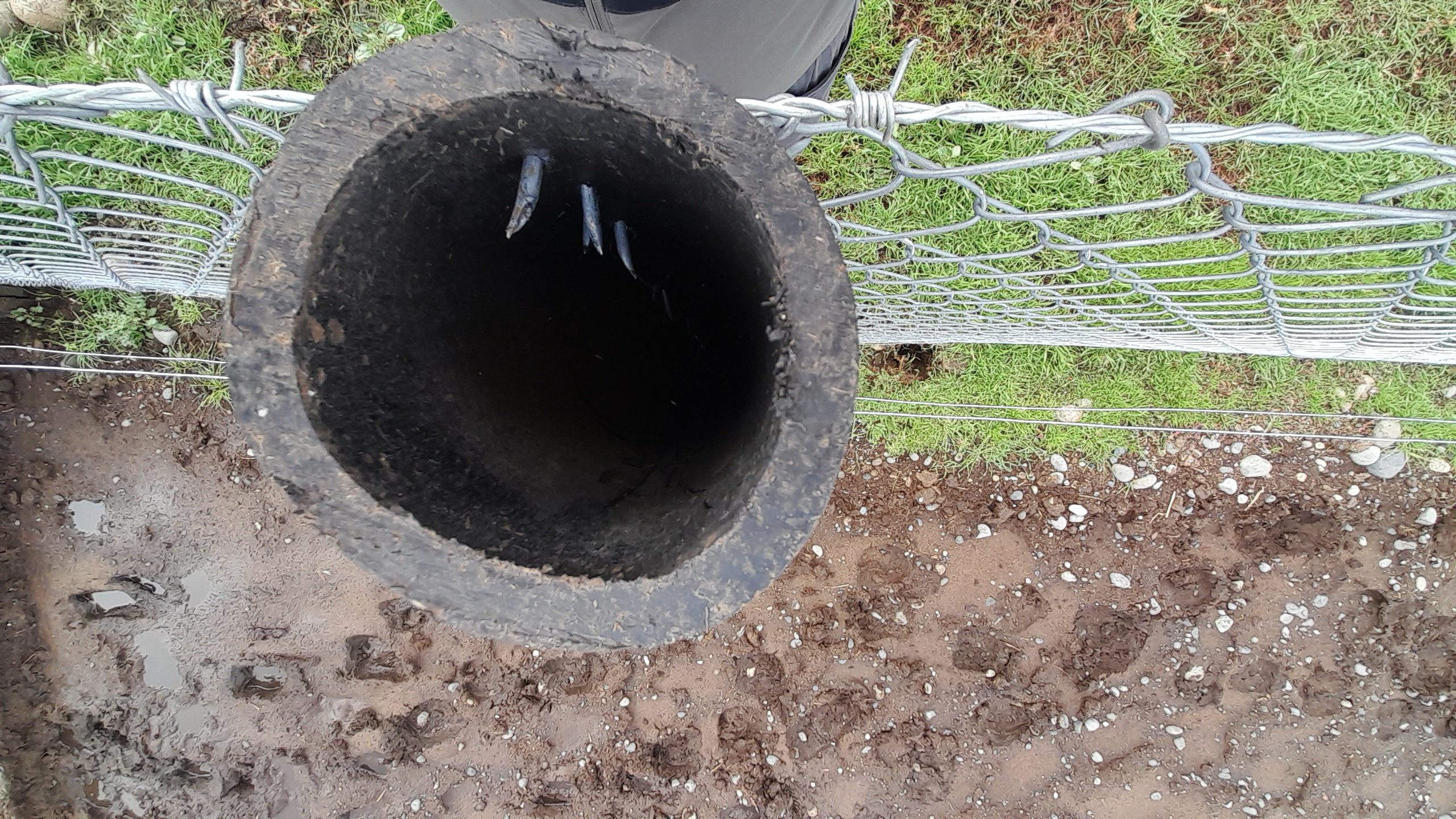 Polines Plásticos 3" a 4" pulgadas 2,2mts. CERCOS ETERNOS ¡no se rompen ni se pudren! - Imagen 12