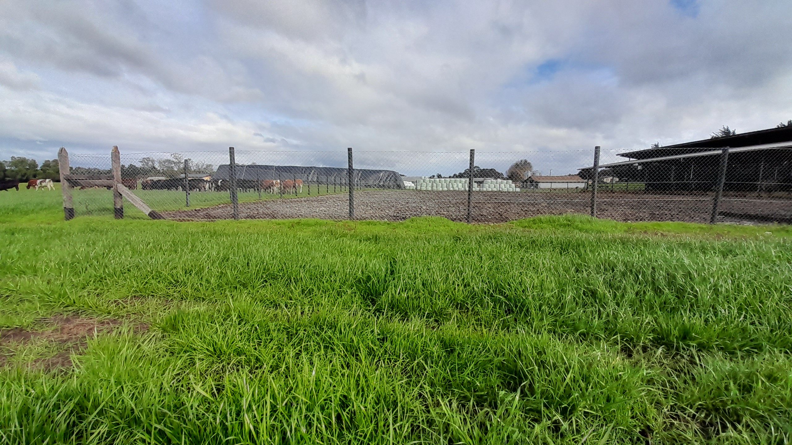 Polines Plásticos 3" a 4" pulgadas 2,2mts. CERCOS ETERNOS ¡no se rompen ni se pudren! - Imagen 8