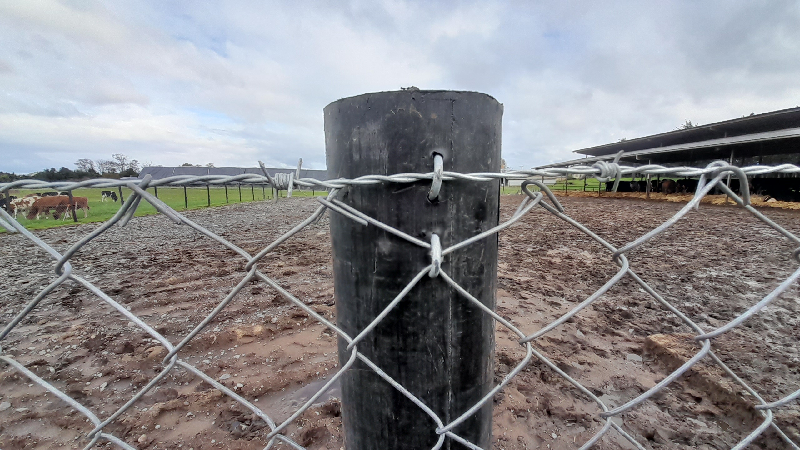 Polines Plásticos 3" a 4" pulgadas 2,2mts. CERCOS ETERNOS ¡no se rompen ni se pudren! - Imagen 11